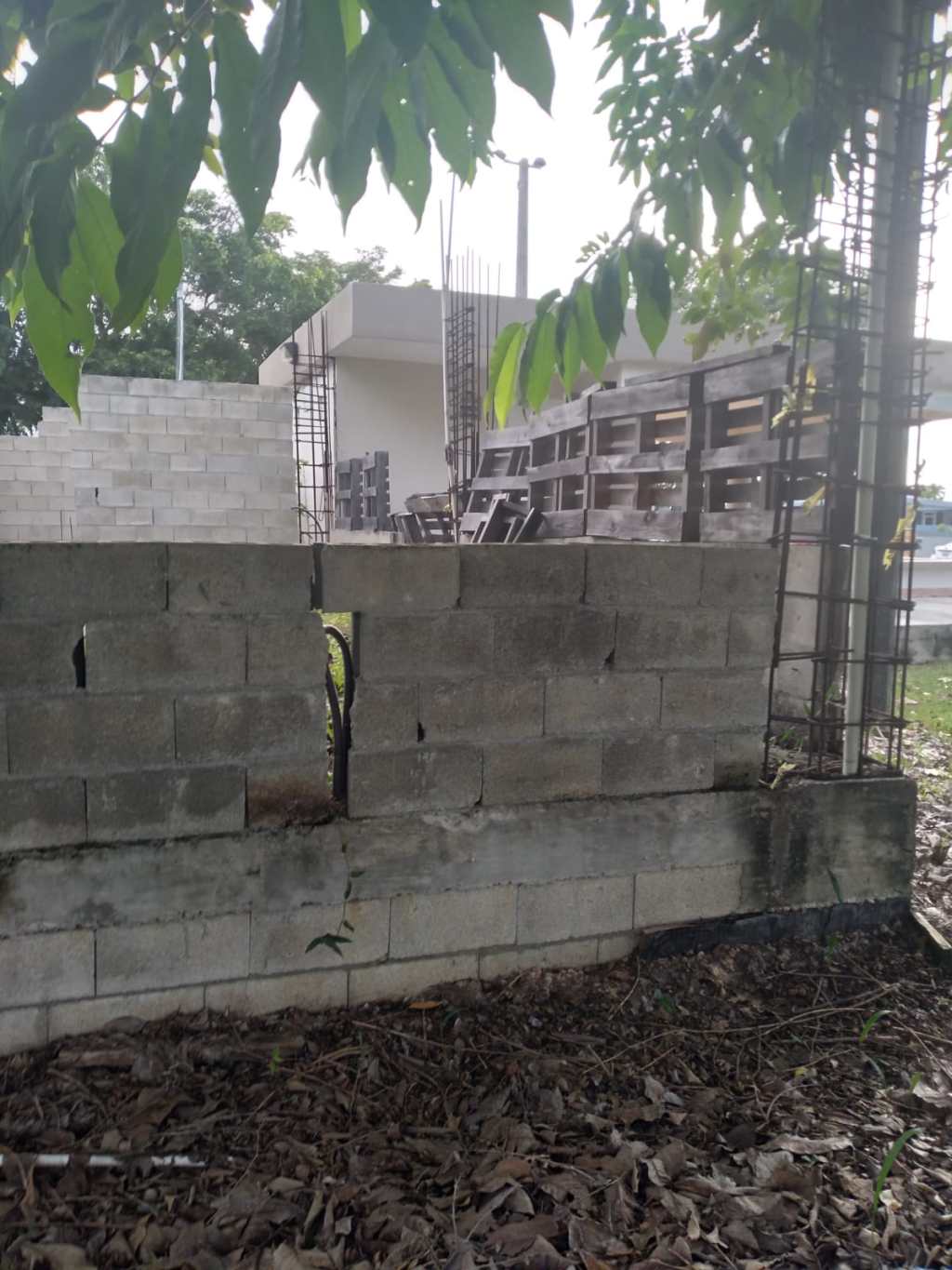 Adefecios en nuestra comunidad&nbsp;🔗